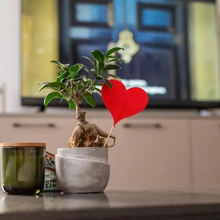 Mamba Apartman Donje Mladice
